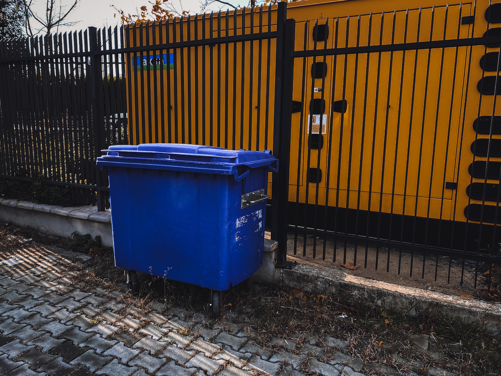 blue dumpster